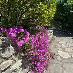 Casa Rina * 기그노드